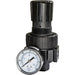 Samson 970 | Air Regulator with Gauge, 1/4