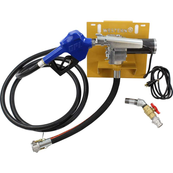 Western Global 115 Volt DC, 12 GPM Pump Kit Standard Pump Kit for TransCube and FuelCube Tanks
